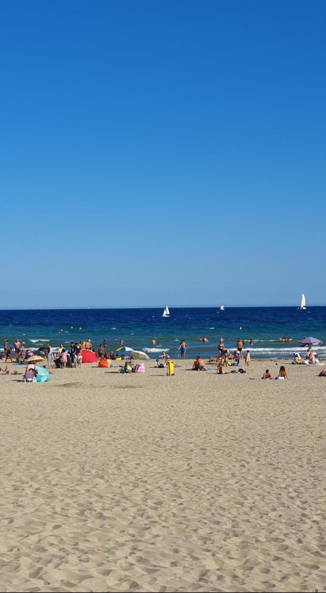 Appartement Cosy Le Phoebus Canet-en-Roussillon Eksteriør bilde