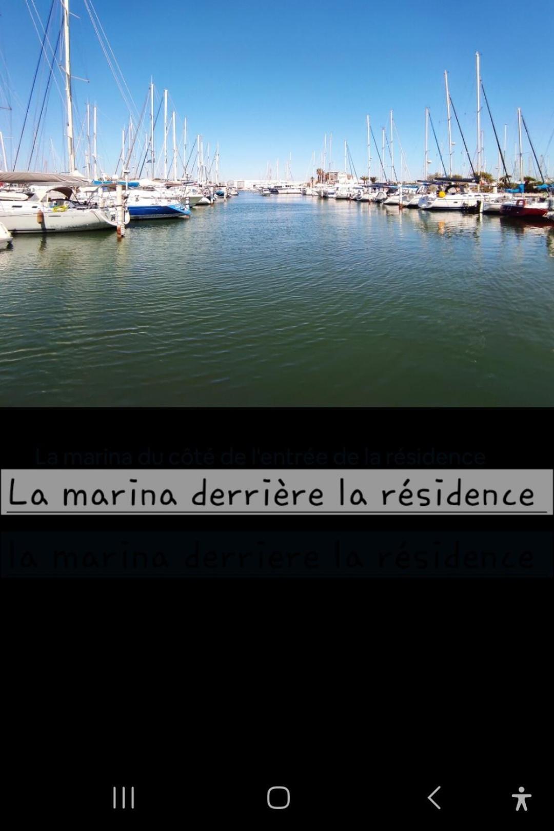 Appartement Cosy Le Phoebus Canet-en-Roussillon Eksteriør bilde